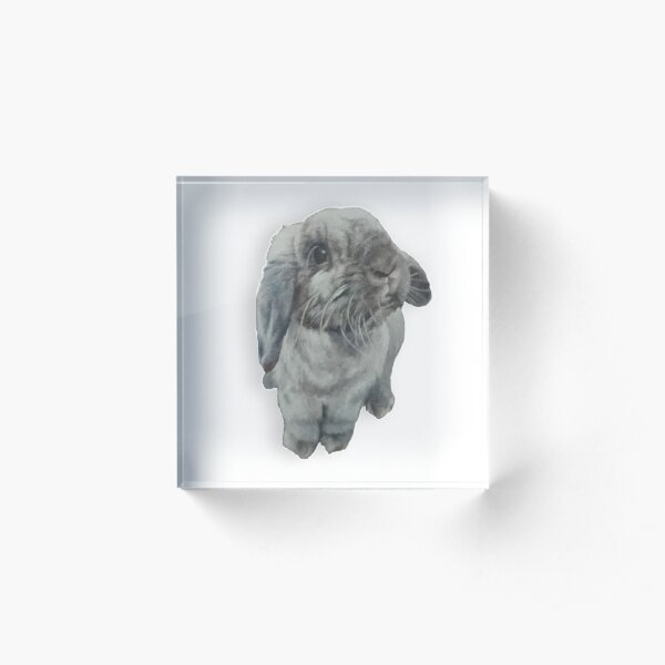 3D mini lop bunny Acrylic Block