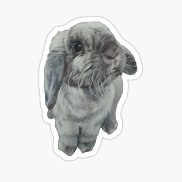 3D mini lop bunny Sticker