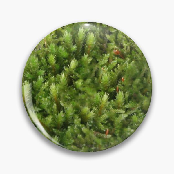 Item preview, Wet moss seamless pattern 1. Stay wild. Wild life designed and sold by Yulia Chepurova.