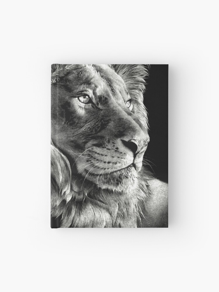 scratch board lion art