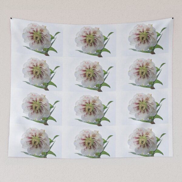 Item preview,  Helebore. designed and sold by John Ray.