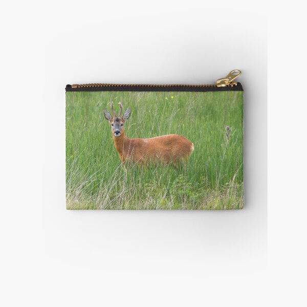Item preview, Young Stag designed and sold by IslayFineArt.
