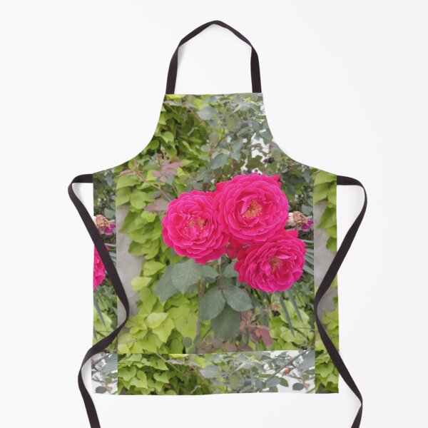 Artikelvorschau, Drei rote Rosen und eine Biene in meinem Garten entworfen und verkauft von basitcv.