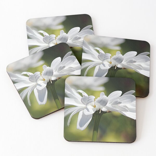 Item preview, Feeling Frivolous designed and sold by naturelover.