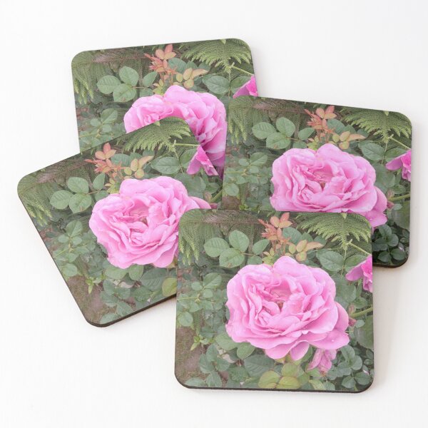 Item preview, rosa rosa en mi jardín designed and sold by basitcv.