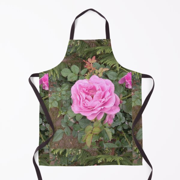 Artikelvorschau,  rosa Rose in meinem Garten entworfen und verkauft von basitcv.