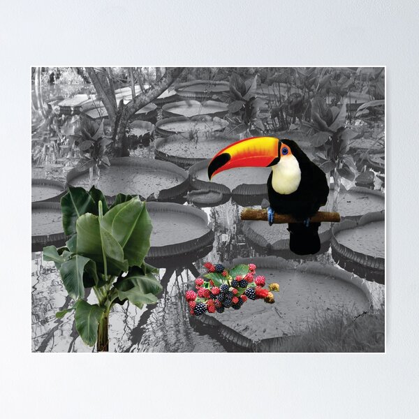 Tucano & forest Poster