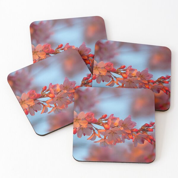 Item preview, USA. Blooms in the sunset. designed and sold by vadim19.
