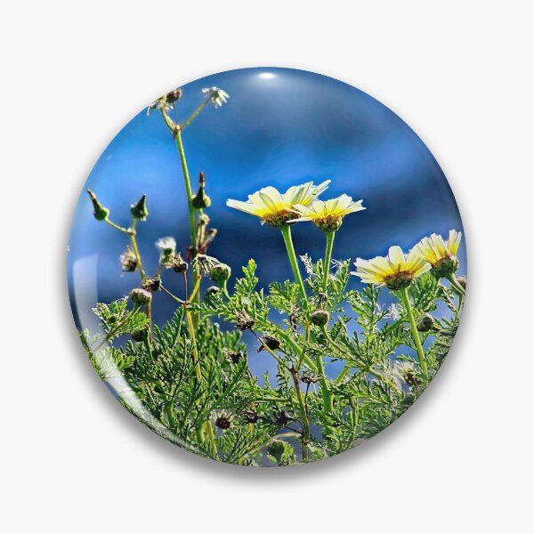 Item preview, Daisy Flowers  Wildflowers Daisies Springtime  designed and sold by worldways.