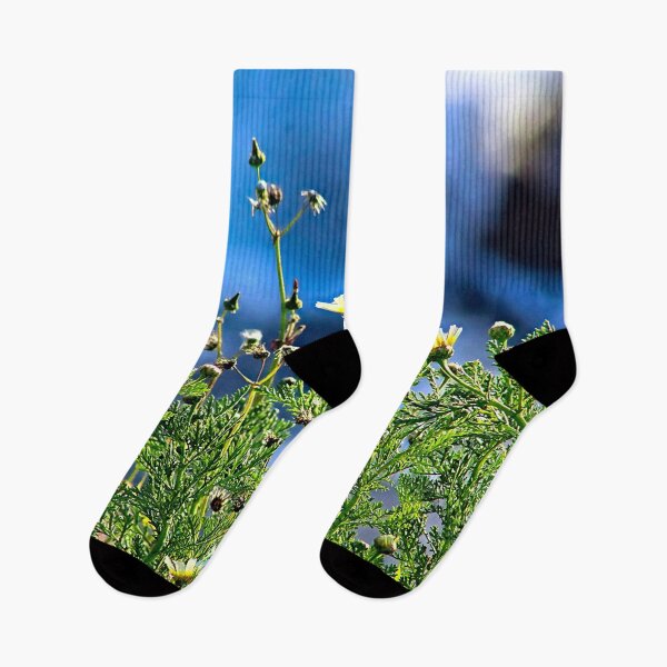 Item preview, Daisy Flowers  Wildflowers Daisies Springtime  designed and sold by worldways.