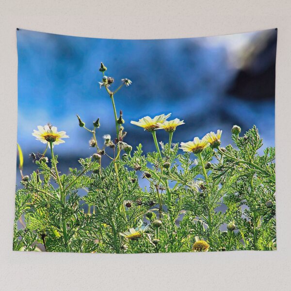 Item preview, Daisy Flowers  Wildflowers Daisies Springtime  designed and sold by worldways.