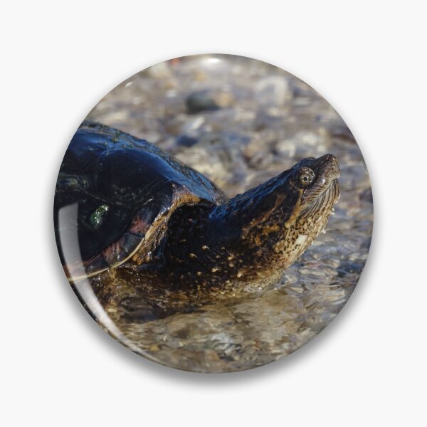 Item preview, Bathing Michigan Turtle designed and sold by mljdwhite.
