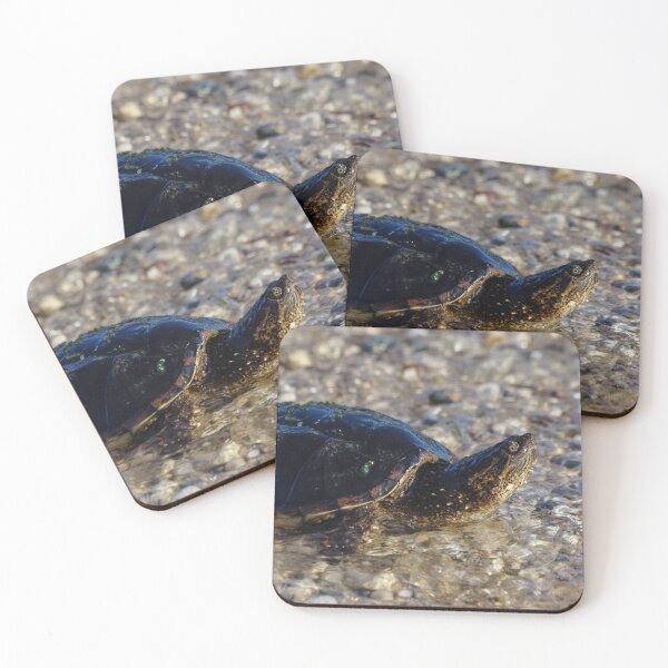 Item preview, Bathing Michigan Turtle designed and sold by mljdwhite.