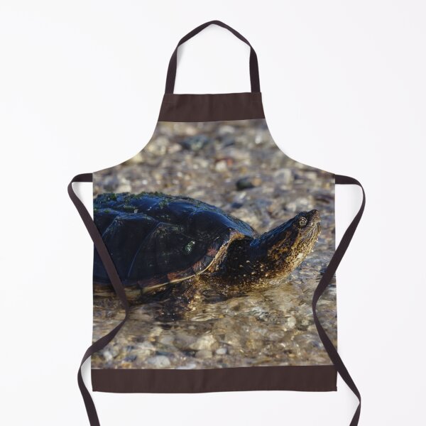 Item preview, Bathing Michigan Turtle designed and sold by mljdwhite.