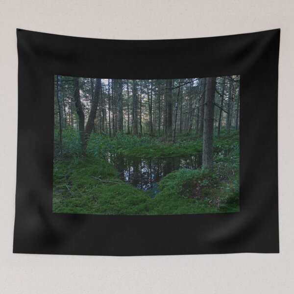 Item preview, Deep oin the forests. Teijo National Park designed and sold by Jouko Lehto Photography.