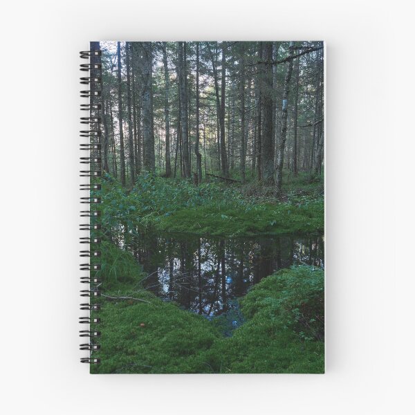 Item preview, Deep oin the forests. Teijo National Park designed and sold by Jouko Lehto Photography.