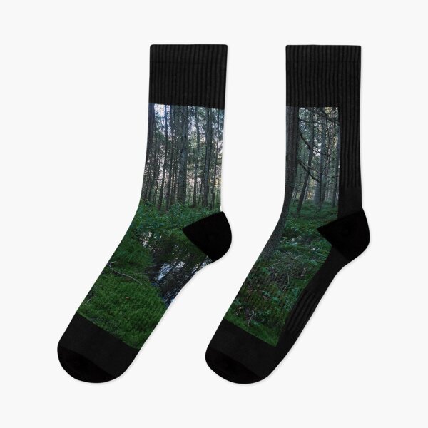 Item preview, Deep oin the forests. Teijo National Park designed and sold by Jouko Lehto Photography.