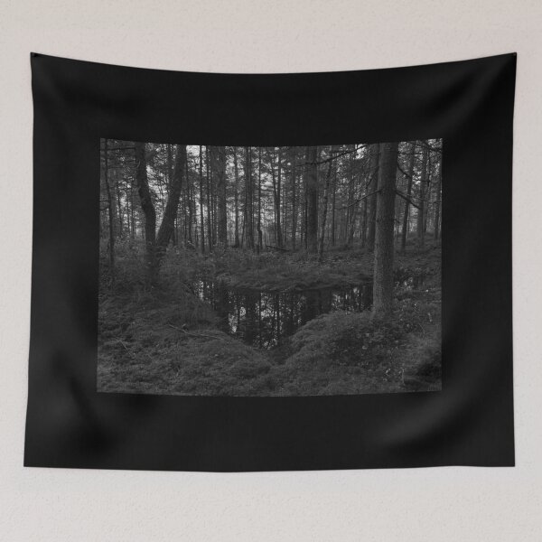 Item preview, Deep in the forests bw. Teijo National Park designed and sold by Jouko Lehto Photography.