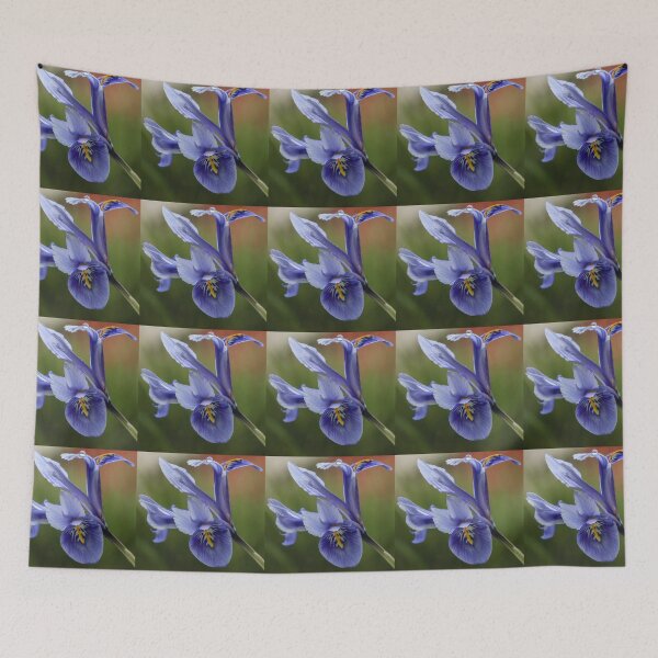 Item preview,  Dwarf Iris. designed and sold by John Ray.