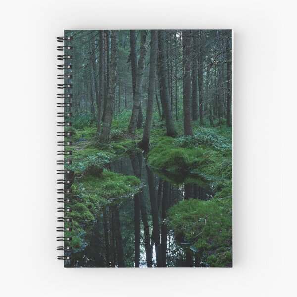 Item preview, The Forest brook. Teijo National Park designed and sold by Jouko Lehto Photography.