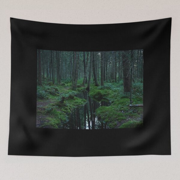 Item preview, The Forest brook. Teijo National Park designed and sold by Jouko Lehto Photography.