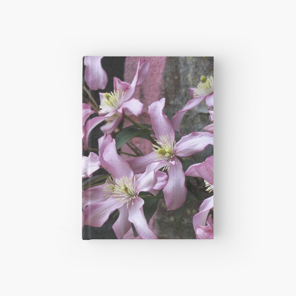 Clematis and Graffiti Hardcover Journal
