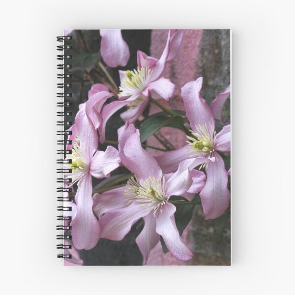 Item preview, Clematis and Graffiti designed and sold by hoxtonboy.