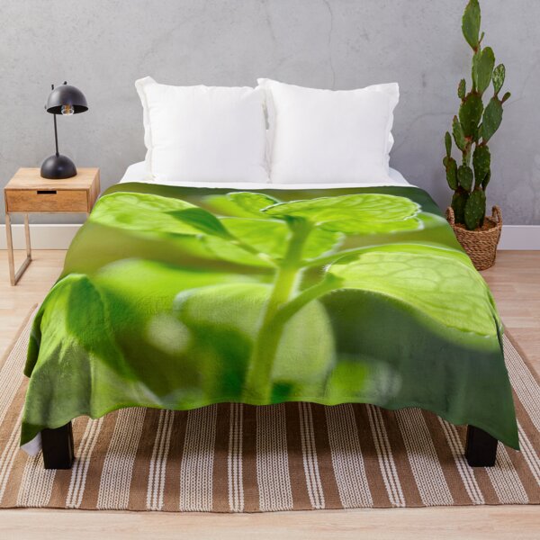 Item preview, Translucent Succulent Leaves - Nature designed and sold by joejiing.