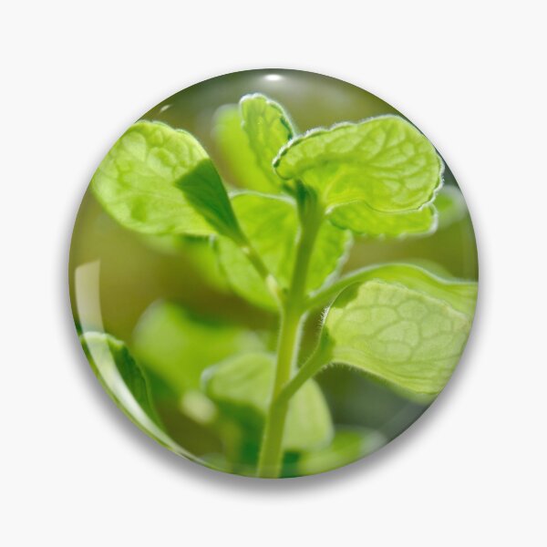 Item preview, Translucent Succulent Leaves - Nature designed and sold by joejiing.