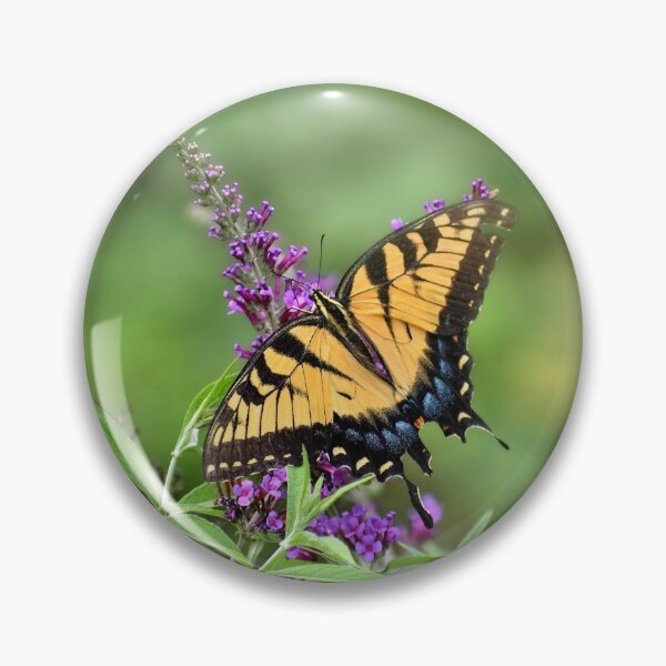 Item preview, The Beauty of Nature  designed and sold by Lanis Rossi.