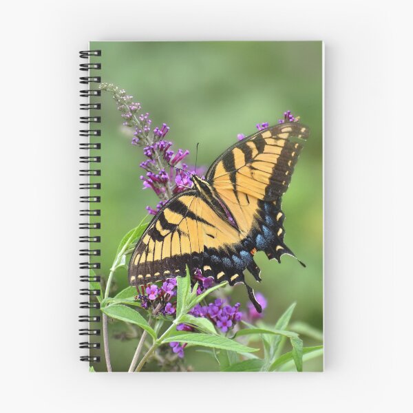 Item preview, The Beauty of Nature  designed and sold by Lanis Rossi.