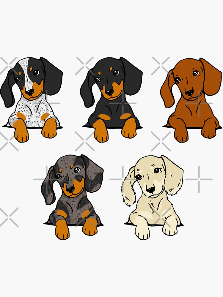 dachshund pop vinyl