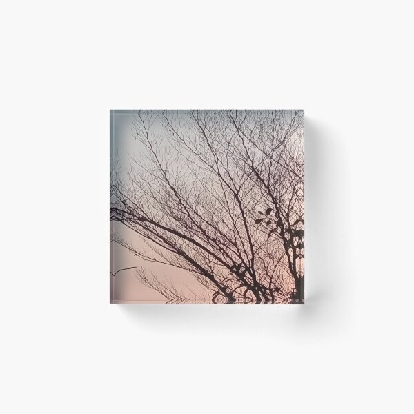 Item preview, Sun set behind tree branches  designed and sold by basitcv.