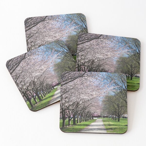 Item preview, USA. Philadelphia. Fairmount Park. Alley. designed and sold by vadim19.