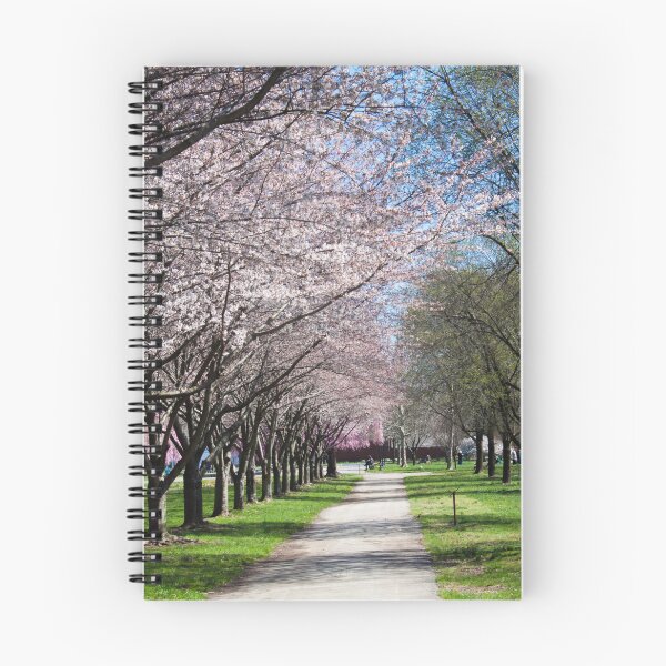 Item preview, USA. Philadelphia. Fairmount Park. Alley. designed and sold by vadim19.