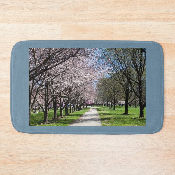 Item preview, USA. Philadelphia. Fairmount Park. Alley. designed and sold by vadim19.