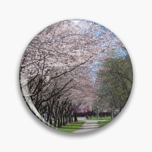 Item preview, USA. Philadelphia. Fairmount Park. Alley. designed and sold by vadim19.