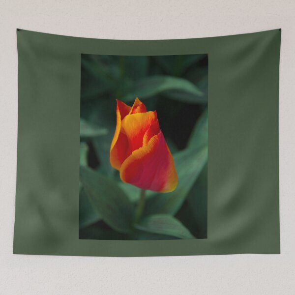 Item preview, Red Tulip  designed and sold by hawkie.