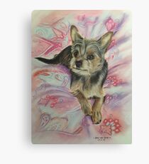 Harry Canvas Print