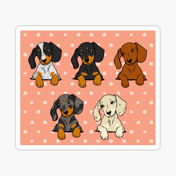 Item preview, All Breeds Dachshund Coral Polkadot designed and sold by Reiyankhairina.