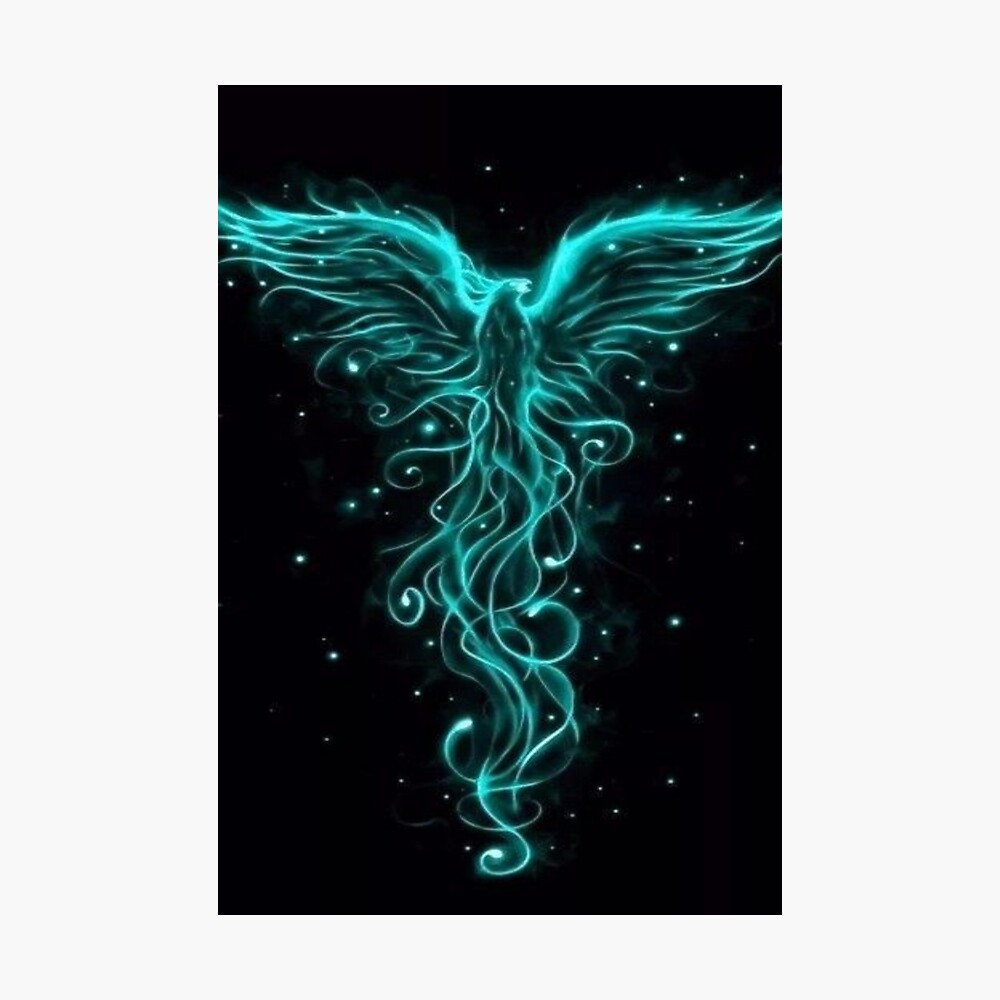 blue phoenix bird of fire blue phoenix bird of fire