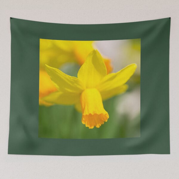 Item preview, Narcissus  designed and sold by hawkie.