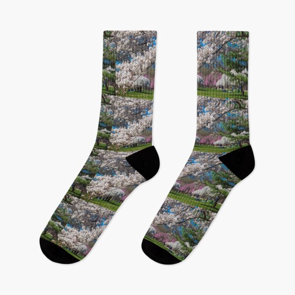Item preview, USA. Philadelphia. Fairmount Park. Spring Blooms. designed and sold by vadim19.