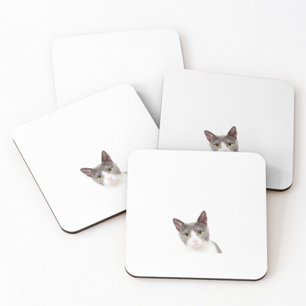 Item preview, A beautiful grey and white kitten designed and sold by cmphotographs.