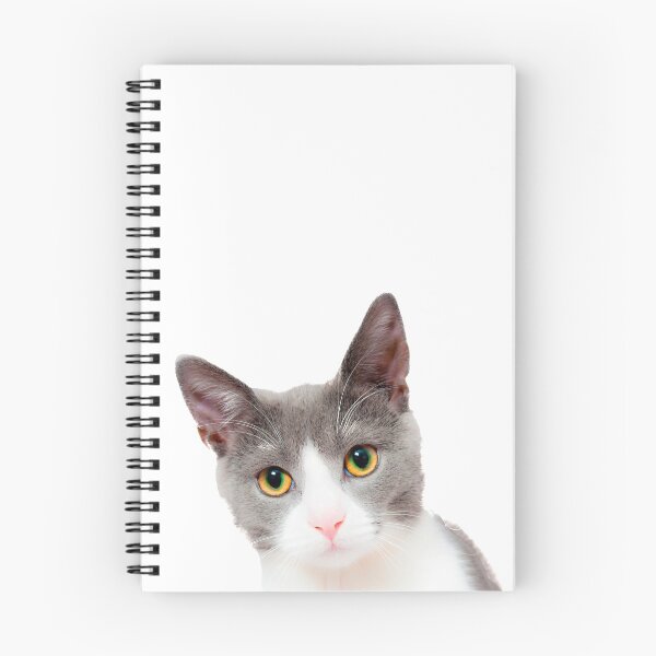 Item preview, A beautiful grey and white kitten designed and sold by cmphotographs.