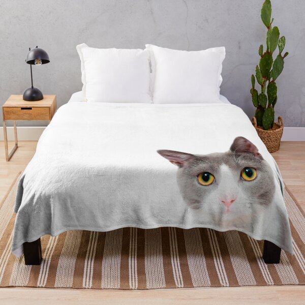 Item preview, A beautiful grey and white kitten designed and sold by cmphotographs.