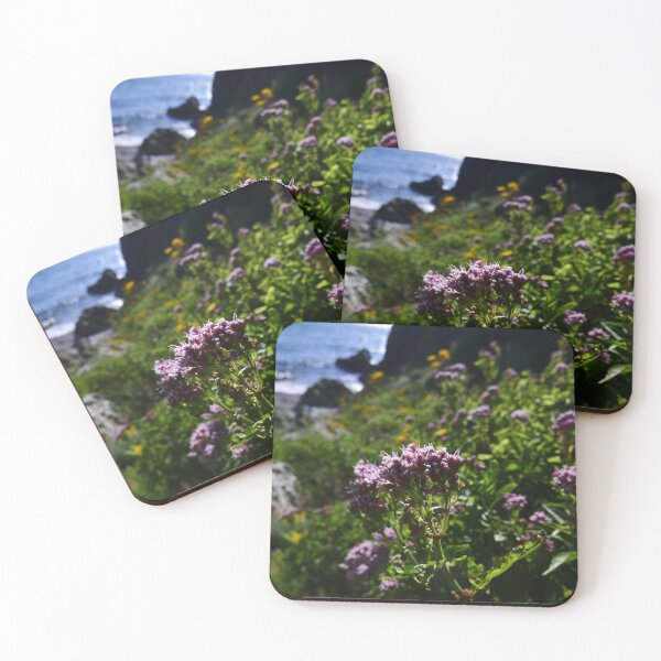 Item preview, Hemp Agrimony (Eupatorium cannabinum) designed and sold by IOMWildFlowers.