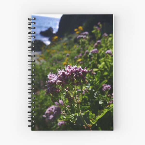 Item preview, Hemp Agrimony (Eupatorium cannabinum) designed and sold by IOMWildFlowers.