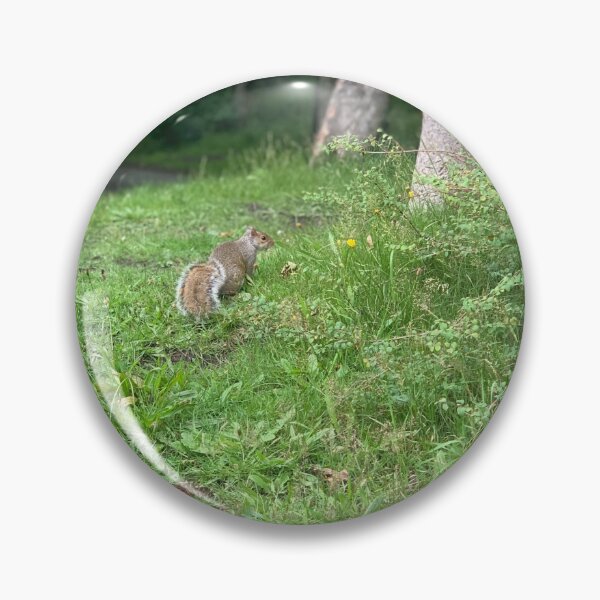 Item preview, Grey Squirrel designed and sold by riverhag.
