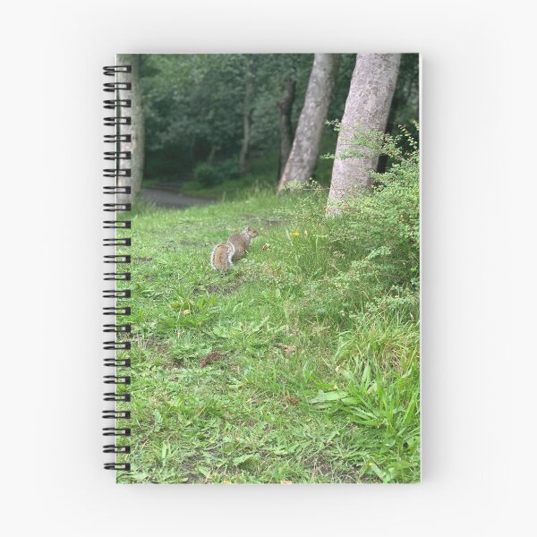 Item preview, Grey Squirrel designed and sold by riverhag.